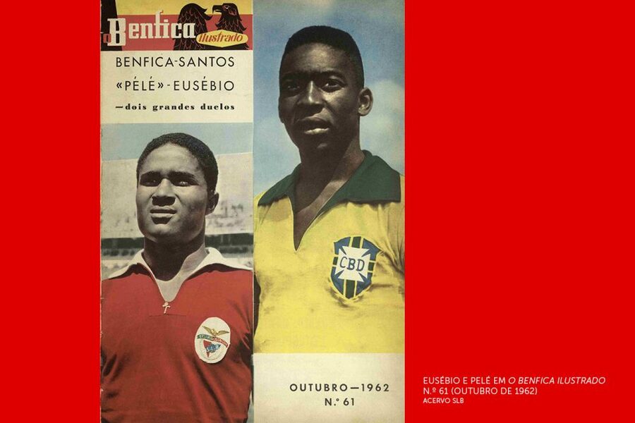 Lisbon: Customized Luz Stadium and Guided Museum Tour - A tour built around football connections