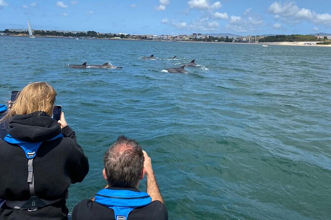 Lisbon: Dolphin Watching with Marine Biologist - Small Group - From Doca de Santo Amaro into open water