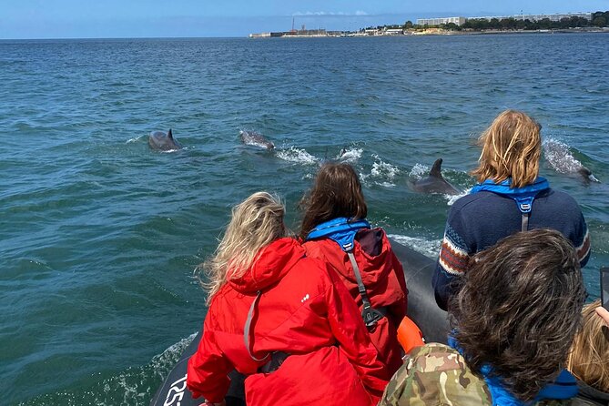 Lisbon: Dolphin Watching with Marine Biologist - Small Group - The boat ride, comfort, and weather