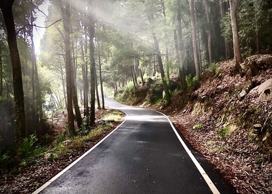 Lisbon: E-bike Trip from the Sintra Mountains to Cascais Sea - Is $111 a fair price?