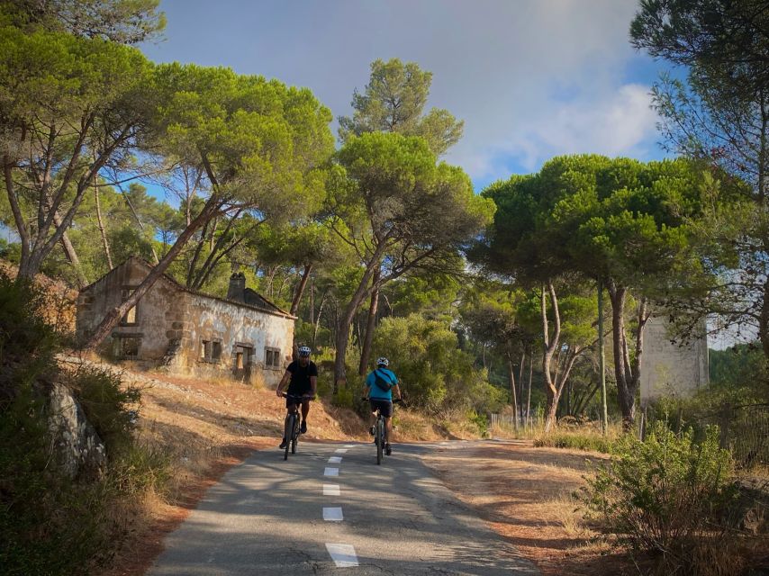 Lisbon: E-bike Trip from the Sintra Mountains to Cascais Sea - Starting at Cascais Market and entering the countryside