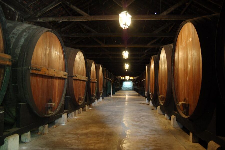 Lisbon Getaway: Private Arrábida Wine & Food Tour - Lunch is flexible, local, and not included