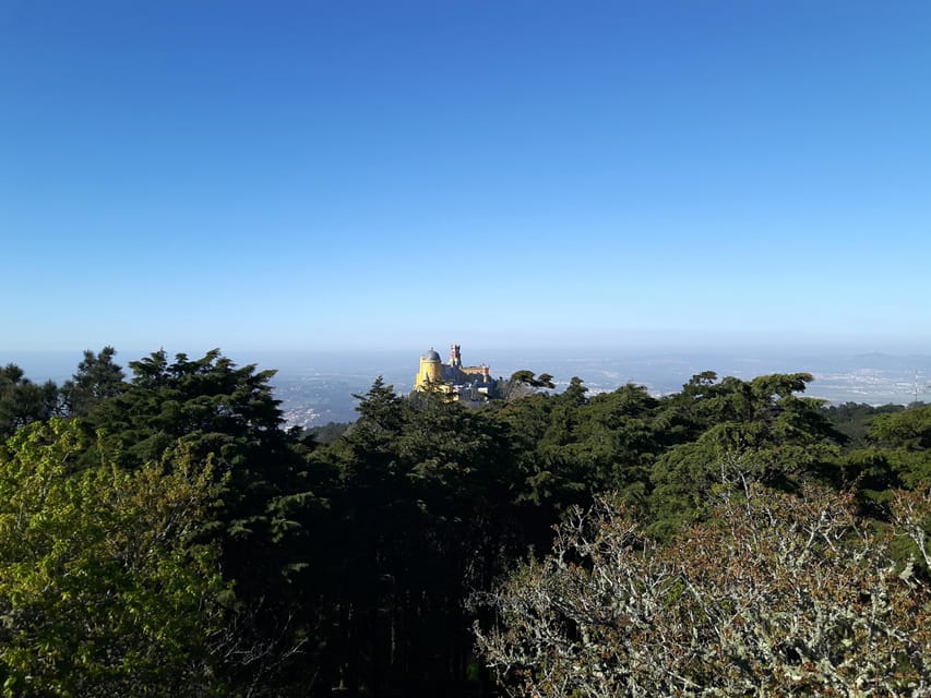 Lisbon: Half-Day Sintra Tour with Pena Palace and Regaleira - Is $93 a fair price?