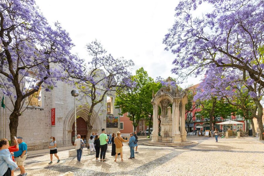 Lisbon: History, Stories and Lifestyle Walking Tour - San Roque Church, small details inside