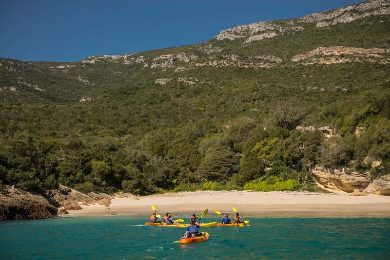Lisbon: Kayak Tour Arrábida Natural Park, Setubal, Sesimbra - Anicha Island and the marine life stop