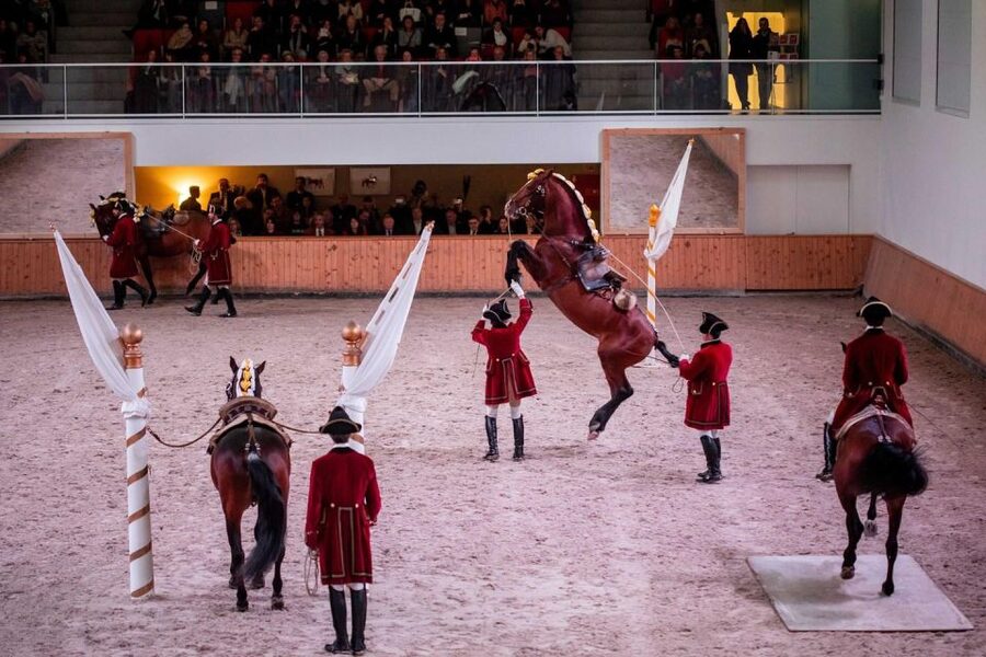 Lisbon: Morning of Equestrian Art with Lusitano Horses - Why the Lusitano horses are the main event