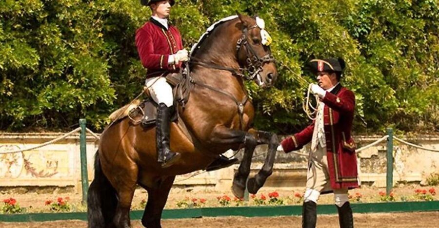 Lisbon: Morning of Equestrian Art with Lusitano Horses - The Nora Patio gives you a look behind the show