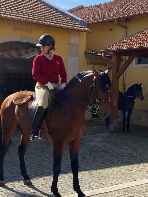 Lisbon: Morning of Equestrian Art with Lusitano Horses - Who will enjoy this morning most