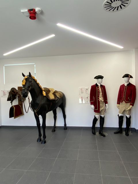 Lisbon: Morning of Equestrian Art with Lusitano Horses - Timing your morning in Lisbon