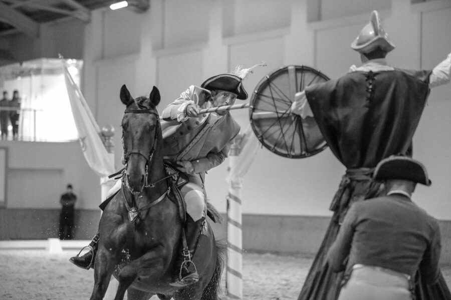 Lisbon: Morning of Equestrian Art with Lusitano Horses - How this compares with a formal gala show