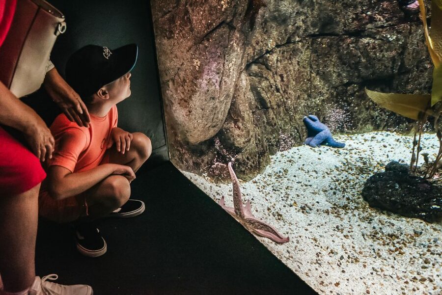 Lisbon: Oceanário de Lisboa Entrance Ticket - How long should you stay?