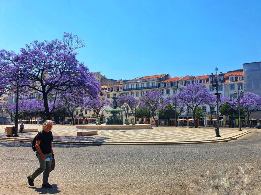 Lisbon: Old Town TukTuk Tour and Scenic Viewpoints in Alfama - The National Pantheon, flea market, and Alfama lanes