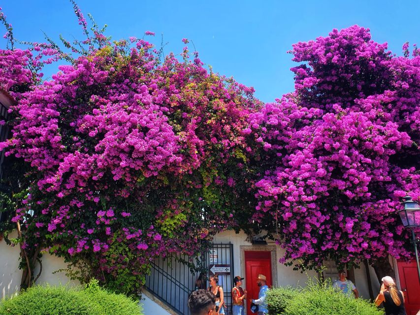 Lisbon: Old Town TukTuk Tour and Scenic Viewpoints in Alfama - What the guides add to the ride