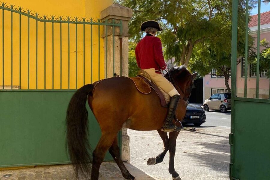 Lisbon: Portuguese Riding School Trainig with Lusitano Horse - Why this horse experience feels different from a standard show