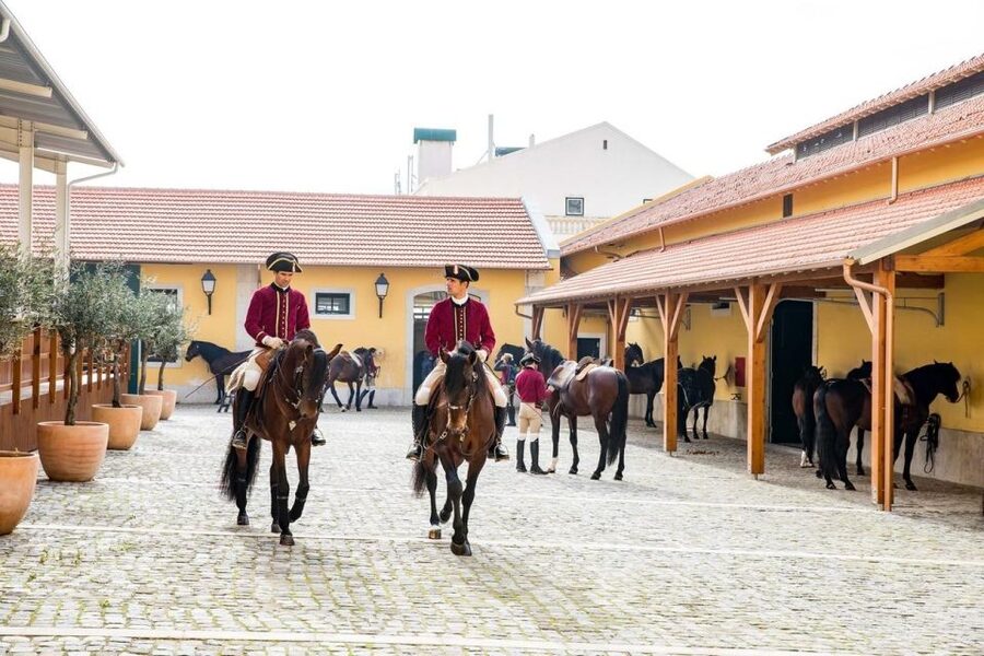 Lisbon: Portuguese Riding School Trainig with Lusitano Horse - Meeting the handlers and seeing stable care