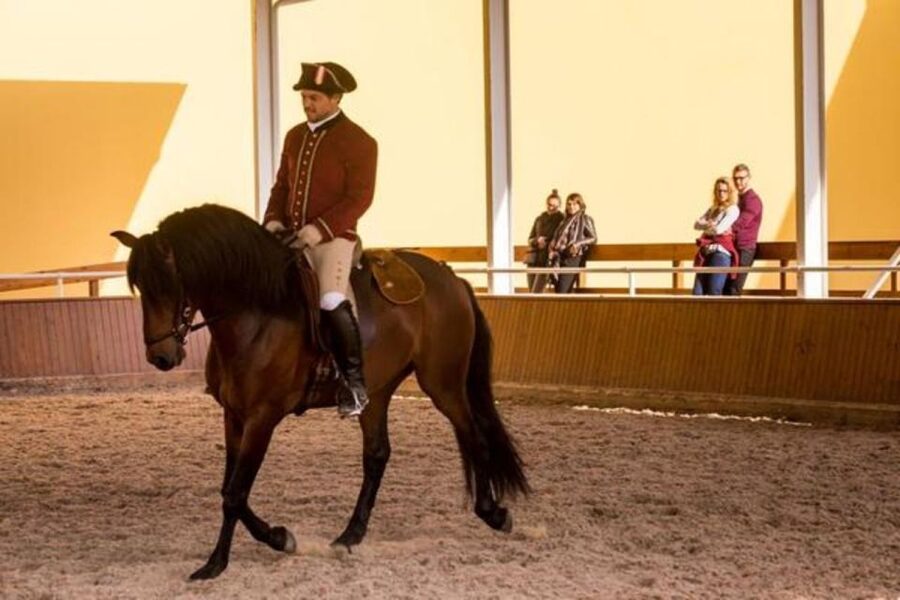 Lisbon: Portuguese Riding School Trainig with Lusitano Horse - The Nora Patio and the 18th-century court setting