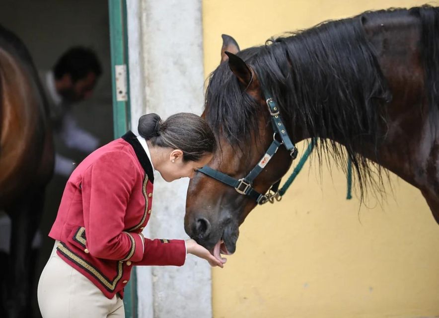 Lisbon: Portuguese Riding School Trainig with Lusitano Horse - How much time to allow, and when to arrive