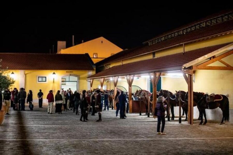 Lisbon: Portuguese Riding School Trainig with Lusitano Horse - Price, access, and what the $17 covers
