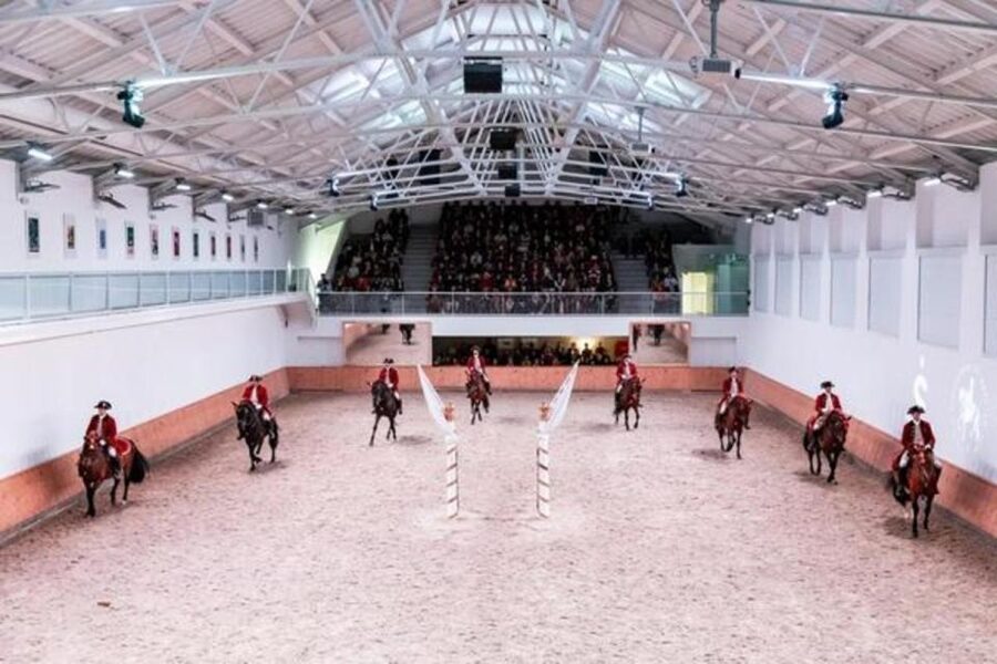 Lisbon: Portuguese Riding School Trainig with Lusitano Horse - Who will enjoy this, and who may want something else
