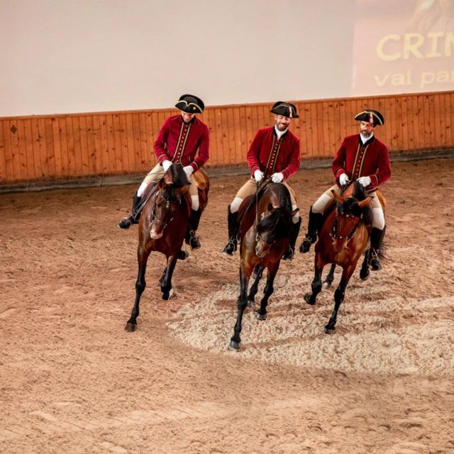 Lisbon: Portuguese Riding School Trainig with Lusitano Horse - Starting with the horses at Henrique Calado Riding Ring