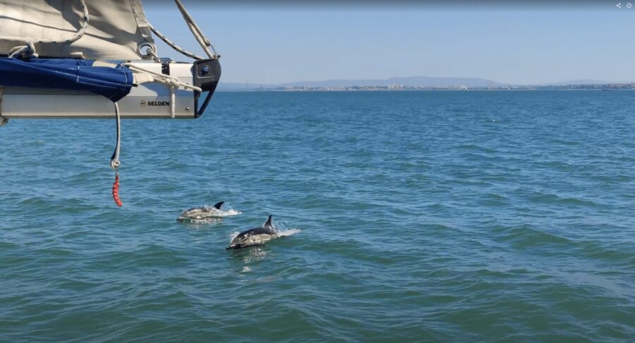 Lisbon: Private Boutique Boat Tour – Sail in Style - Food, drinks, and the social mission