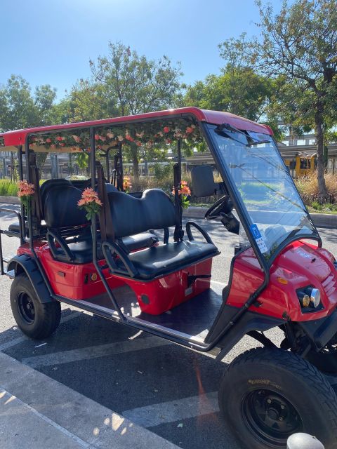 Lisbon: Private City Sightseeing Tour by Tuk-Tuk - Portas do Sol and Santa Luzia