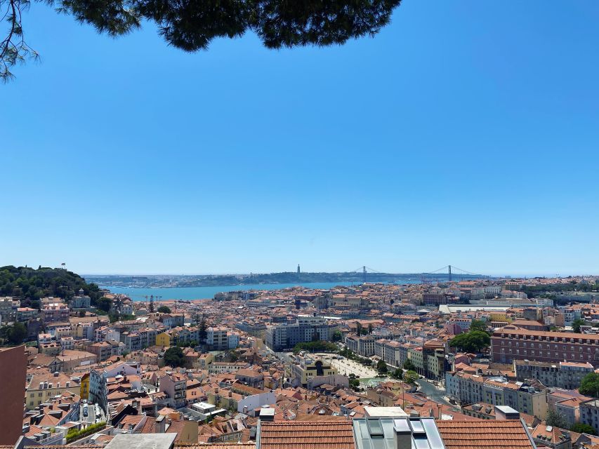Lisbon: Private City Sightseeing Tour by Tuk-Tuk - São Vicente, the Pantheon, and the flea market