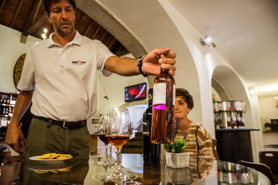 Lisbon Private Setúbal Region Wine Tasting Tour - Key points at a glance