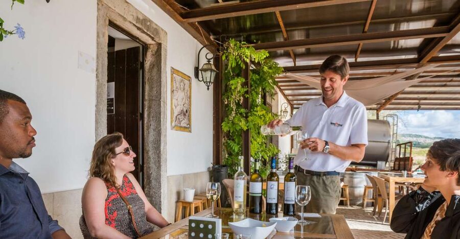 Lisbon Private Setúbal Region Wine Tasting Tour - Why Setúbal is a smart wine day from Lisbon