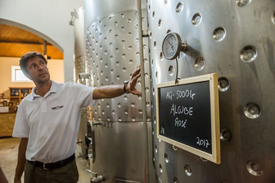 Lisbon Private Setúbal Region Wine Tasting Tour - The Mother House of Setúbal wines