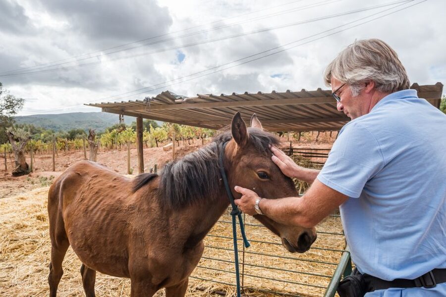 Lisbon Private Setúbal Region Wine Tasting Tour - Assis Lobo and a more personal cellar visit