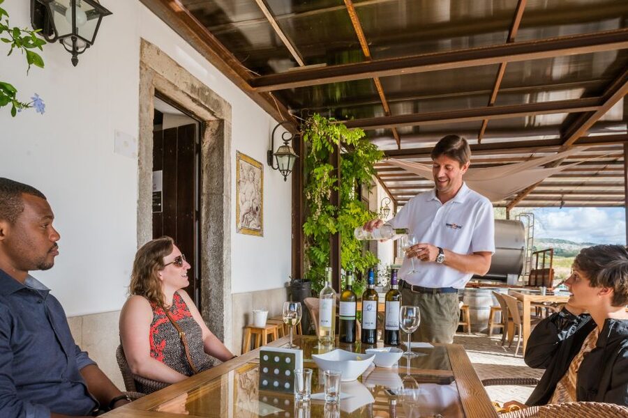 Lisbon Private Setúbal Region Wine Tasting Tour - Choosing between two wineries and three
