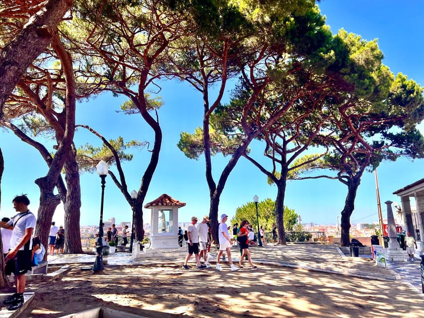 Lisbon: Private Tuk Tuk Tour with Polaroid Photos - Alfama and the Fado Museum