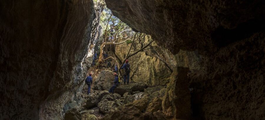 Lisbon: Setubal Arrábida Natural Park Adventure Circuit - Climbing and natural obstacles inside the park