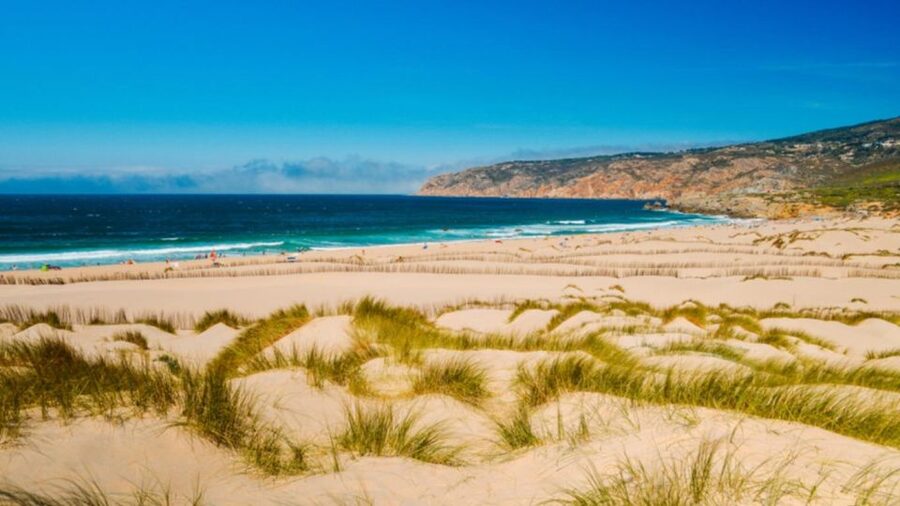 Lisbon: Sintra, Pena Palace, Cabo Roca Coast & Cascais Tour - Pena Palace and the royal gardens