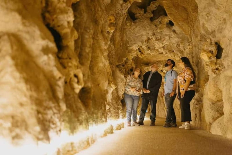 Lisbon: Sintra Tour with Optional Regaleira & Pena Gardens - Pena Gardens and the fairy-tale hilltop setting