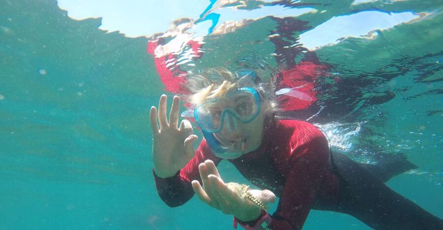 Lisbon: Snorkelling in Sesimbra/Arrábida Natural Park - Key points at a glance