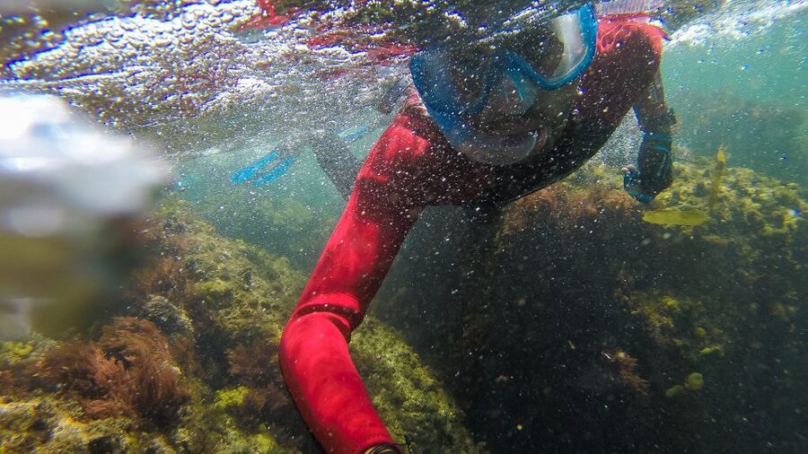 Lisbon: Snorkelling in Sesimbra/Arrábida Natural Park - Booking flexibility and timing