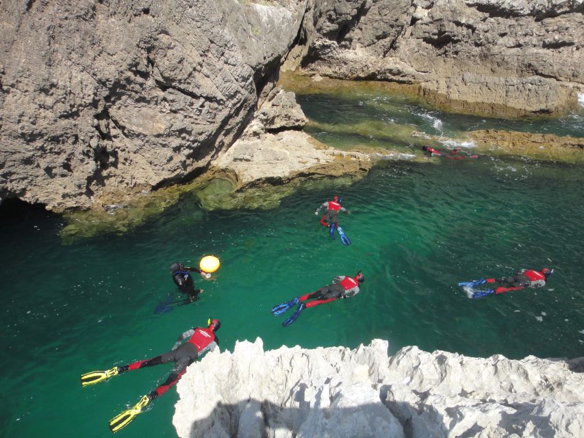 Lisbon: Snorkelling in Sesimbra/Arrábida Natural Park - Is $70 good value for three hours?