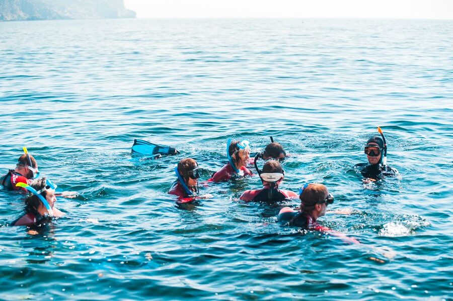 Lisbon: Snorkelling in Sesimbra/Arrábida Natural Park - Who should book this outing?