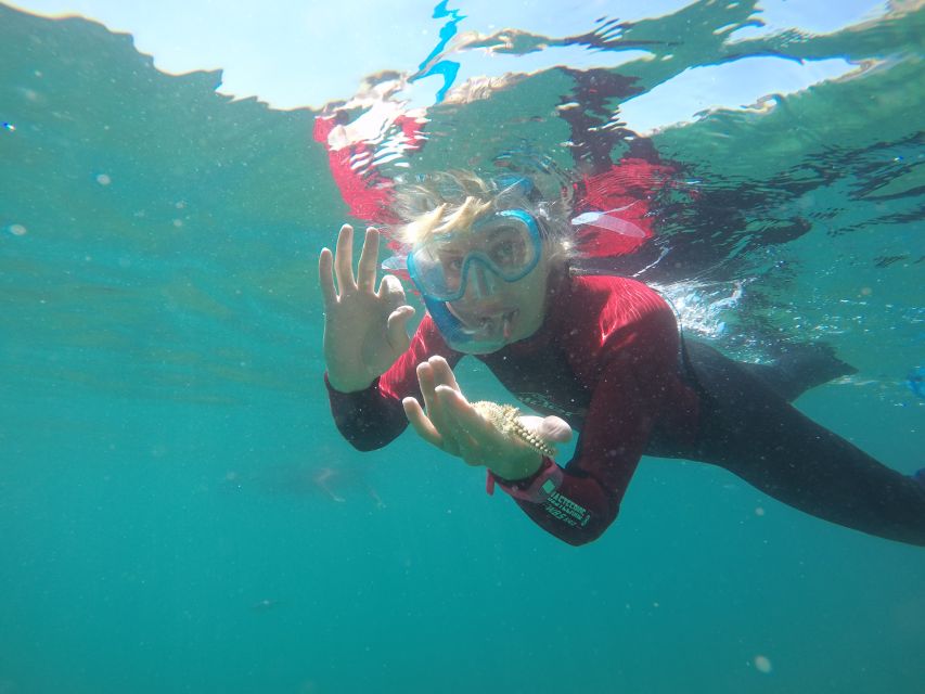 Lisbon: Snorkelling in Sesimbra/Arrábida Natural Park - Getting comfortable with the mask, fins, and wetsuit