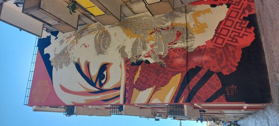 Lisbon Street Art Lovers Walk - Starting in Mouraria, where art meets daily life