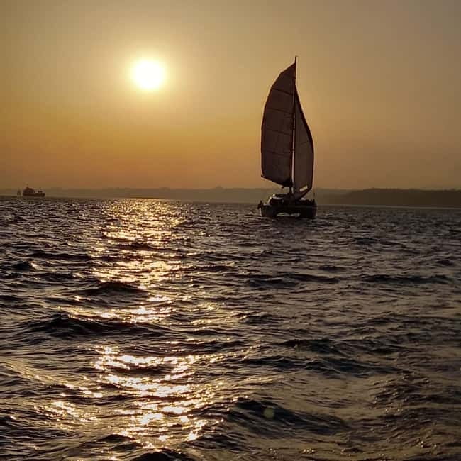 Lisbon: Sunset Catamaran Cruise with Drinks - MAAT, the Electricity Museum, and Belém
