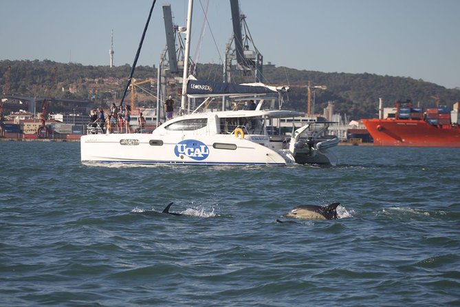 Lisbon: Sunset Cruise With Drinks on Spacious Yacht - A Spacious Yacht, With Room to Find Your Spot