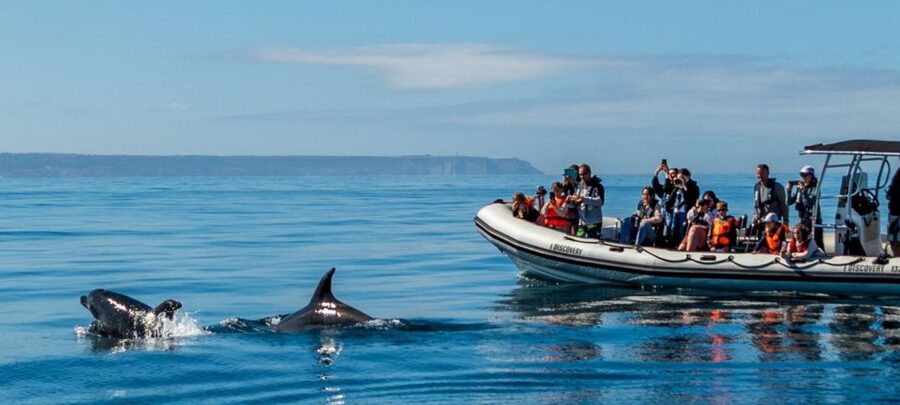 Lisbon: Sunset SpeedBoat Tour - Belém Tower and Lisbon’s Atlantic gateway