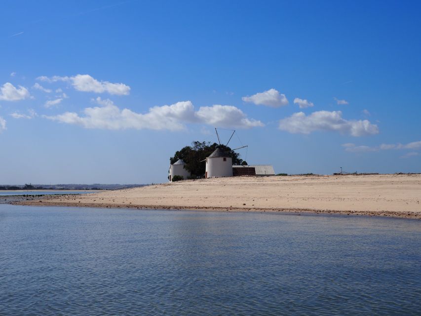 Lisbon: Tagus Estuary Nature Reserve Birdwatching Boat Tour - Key points to know before you book