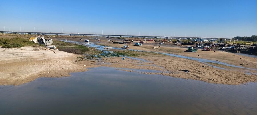 Lisbon: Tagus Estuary Nature Reserve Birdwatching Boat Tour - What Carlos adds to the trip