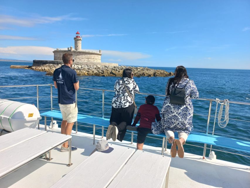 Lisbon: Tagus River Cruise to the Ocean & Dolphin Watching - What the dolphin search is really like