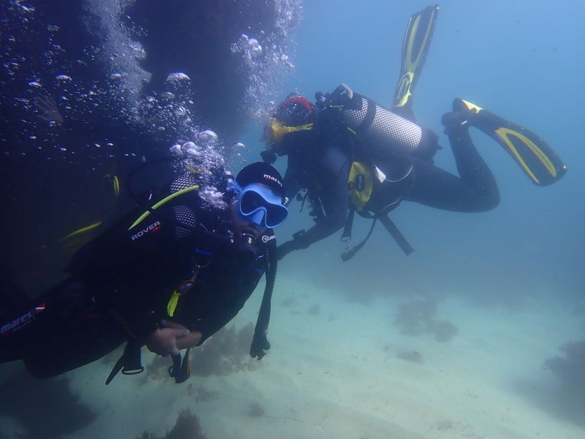 Lisbon: Try Dive in Arrábida Marine Reserve Setubal Sesimbra - The opening briefing and equipment fitting