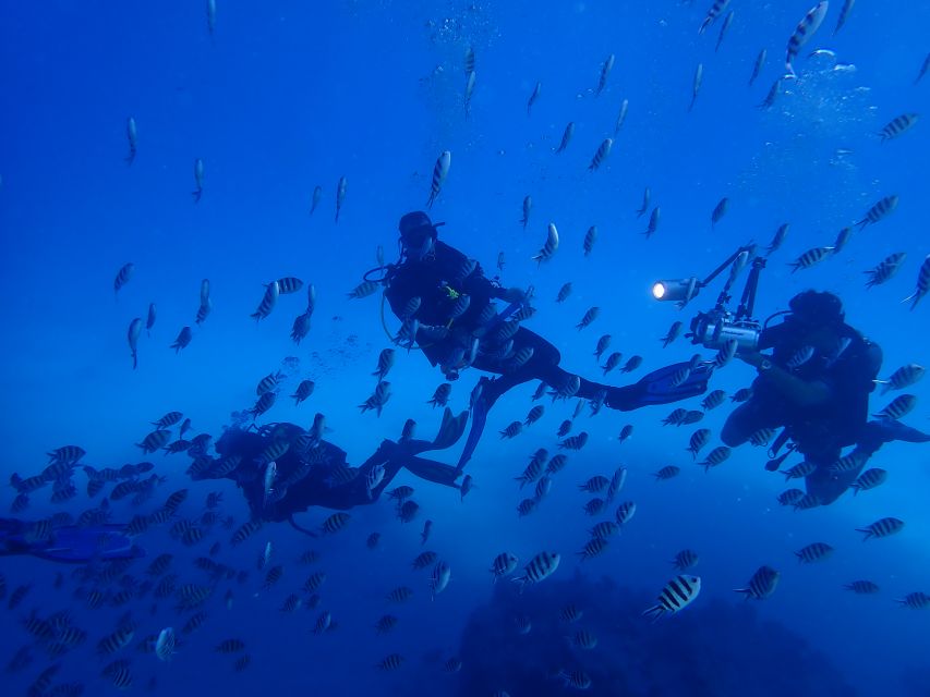 Lisbon: Try Dive in Arrábida Marine Reserve Setubal Sesimbra - Learning to breathe underwater